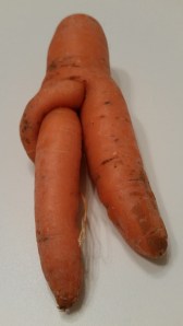 Karotte1
