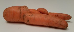 Karotte2