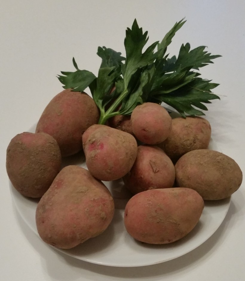 KartoffelnChristoph