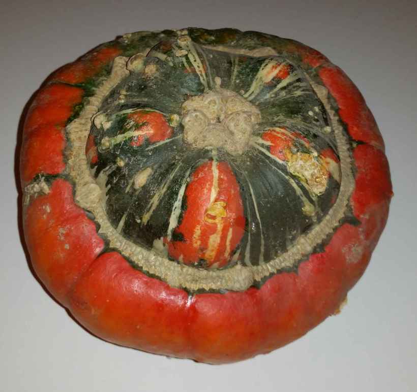 Kuerbis_Bischofmuetze