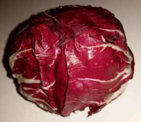 Radicchio