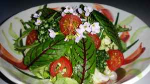 Salat_Glueck02