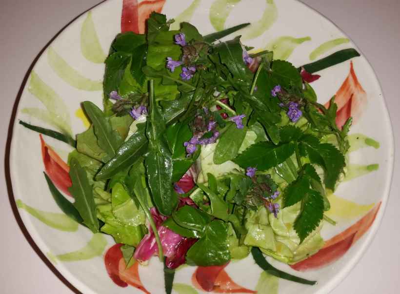 Salat_Gunder01
