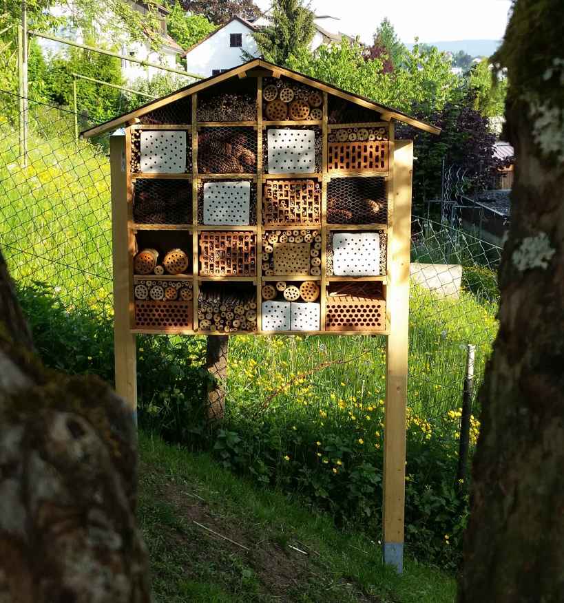 Bienen01