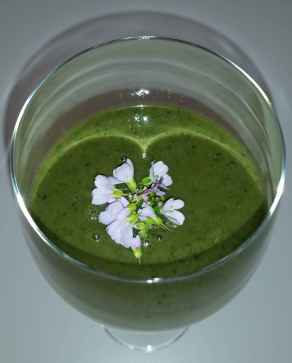 Smoothie01