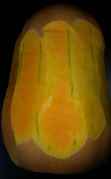 Butternut06