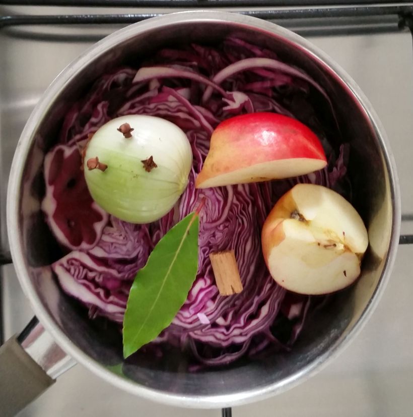 Rotkohl6_2